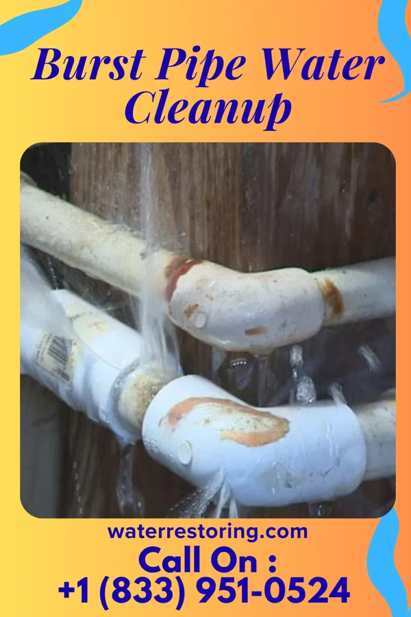Burst Pipe Water Cleanup in Paxico, KS